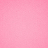 Hobby Vilt | lapje 20 x 30 cm | Roze Vilt VILT - PES - 2030 - ROZE - 53